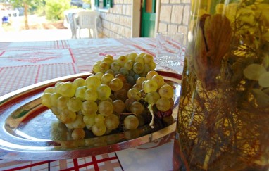 House Glavica