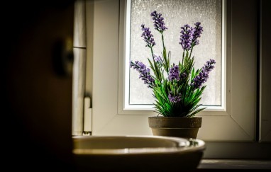 Apartman Milena