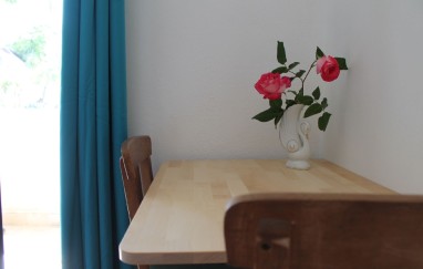 Apartman Saša