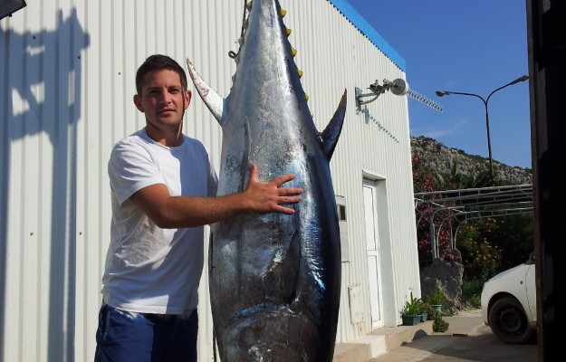 BIG GAME FISHING