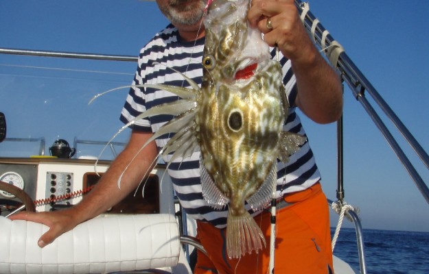 BIG GAME FISHING
