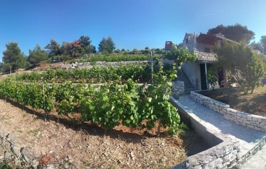 Bungalov Svjetlana