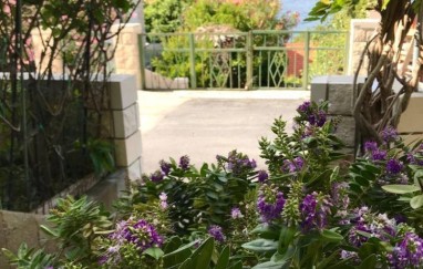 Apartman Miljana