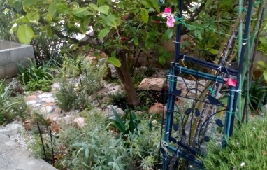 Apartman Miljana