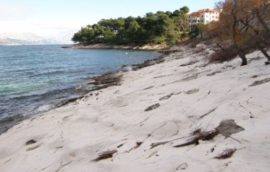 Apartmani Branko