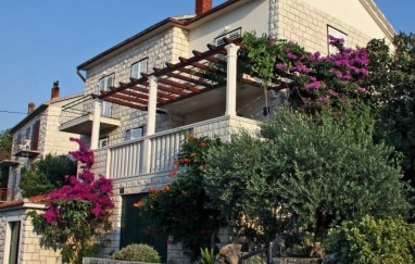 Apartments Čibu