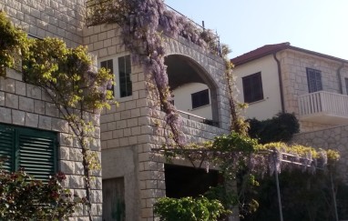Apartman Miljana