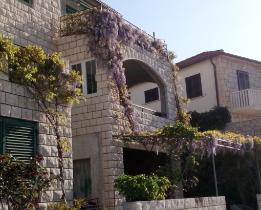 Apartman Miljana