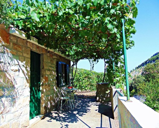 Vacation house Frano