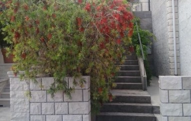 Apartman Miljana