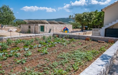Vacation house Bračuta